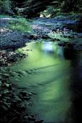 ABZ - Green River